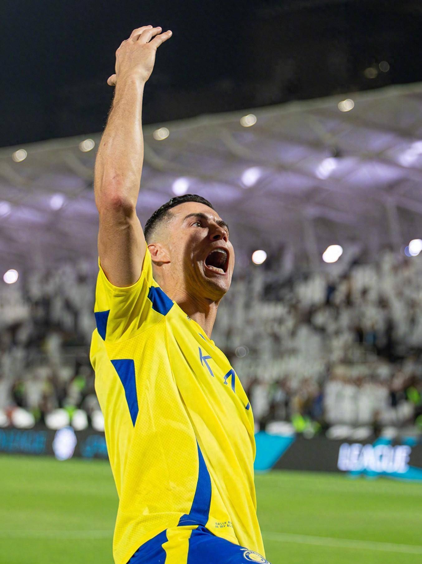 素质都有极 素质都有极