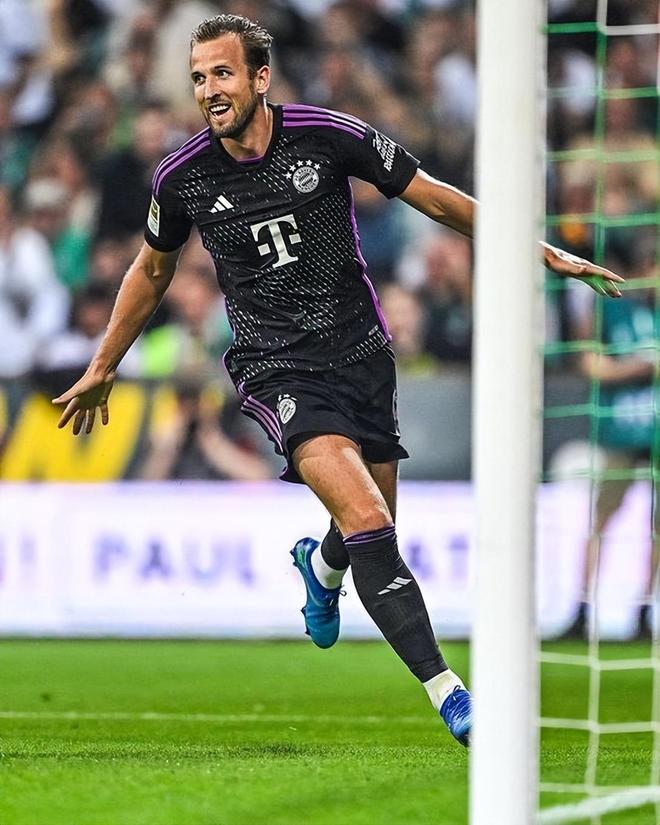 还招来了前 还招来了前