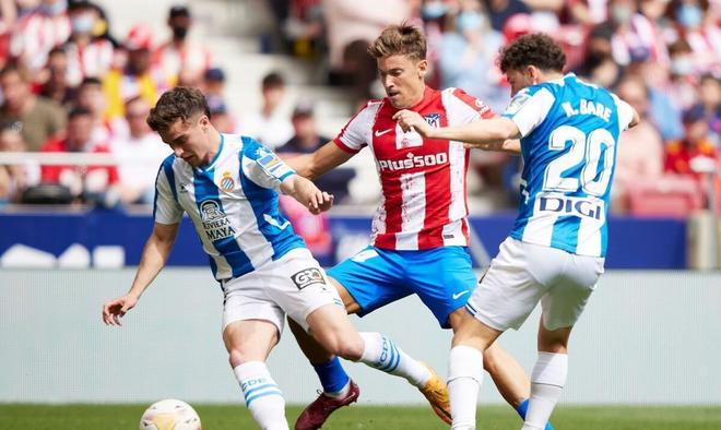 广东28分 广东28分